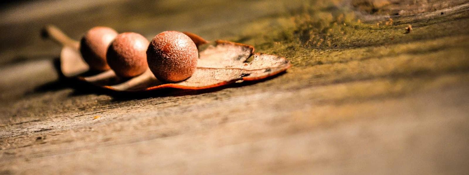 Armon Hanatziv View Penthouse backdrop