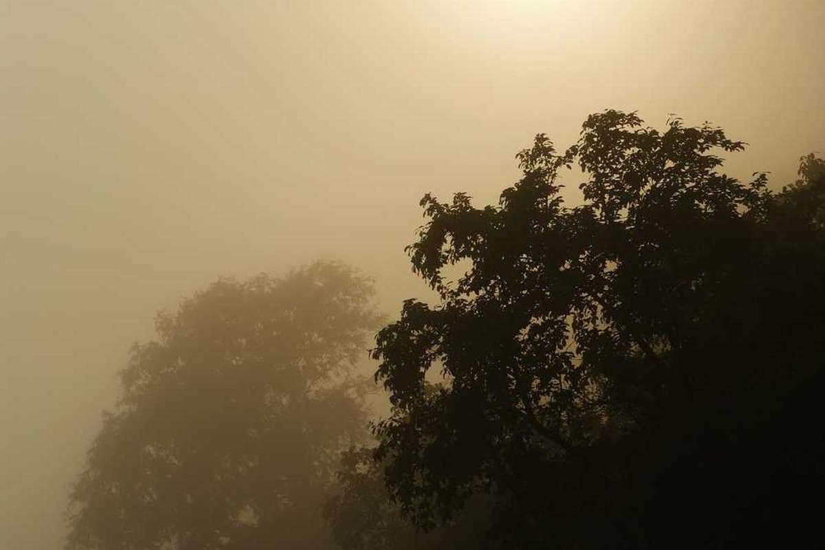 Rehavia Balcony Apartment