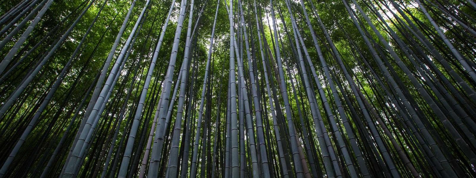 Arnona Scenic Penthouse backdrop